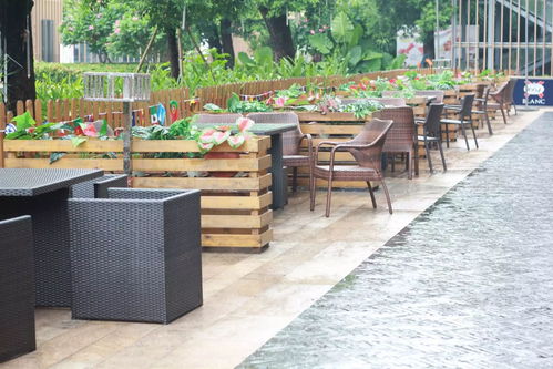 出境旅游，大使馆能为你做什么？