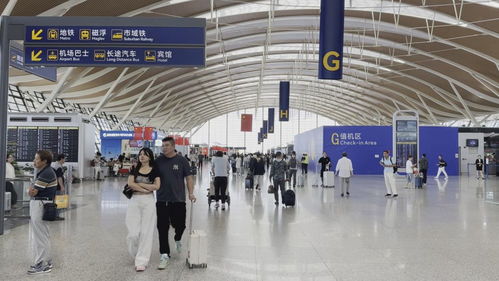 双节同庆客流井喷，上海机场日均客流首破40万大关折射出境游复苏浪潮